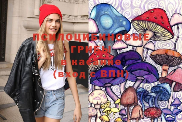 шишки Верхний Тагил