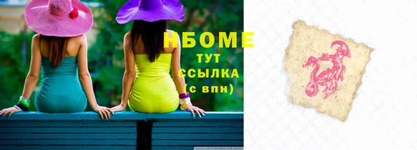 шишки Верхний Тагил