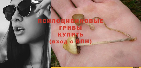 прущий лед Верея