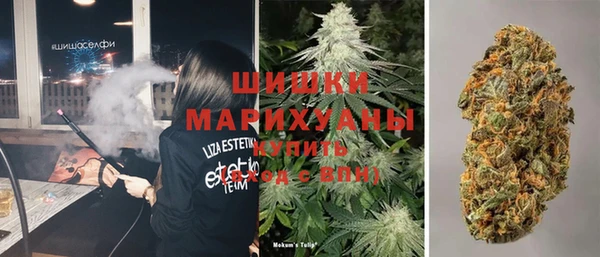 шишки Верхний Тагил