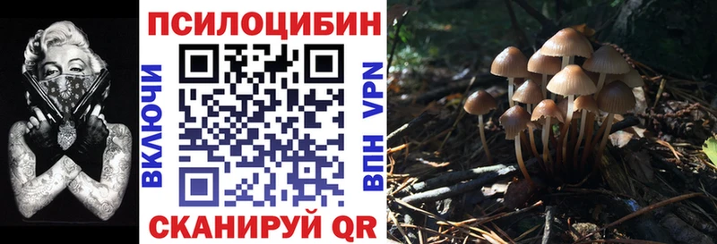 Псилоцибиновые грибы Cubensis Соликамск